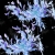 BLUE BLACK