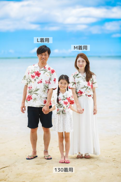 ボタニカルハイビ ファミリー.png