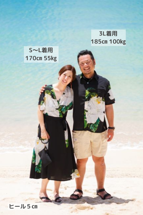 ヒビスCP お客様.png