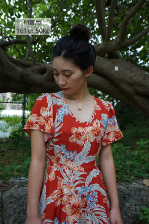 グレイスハイビLO (4).png