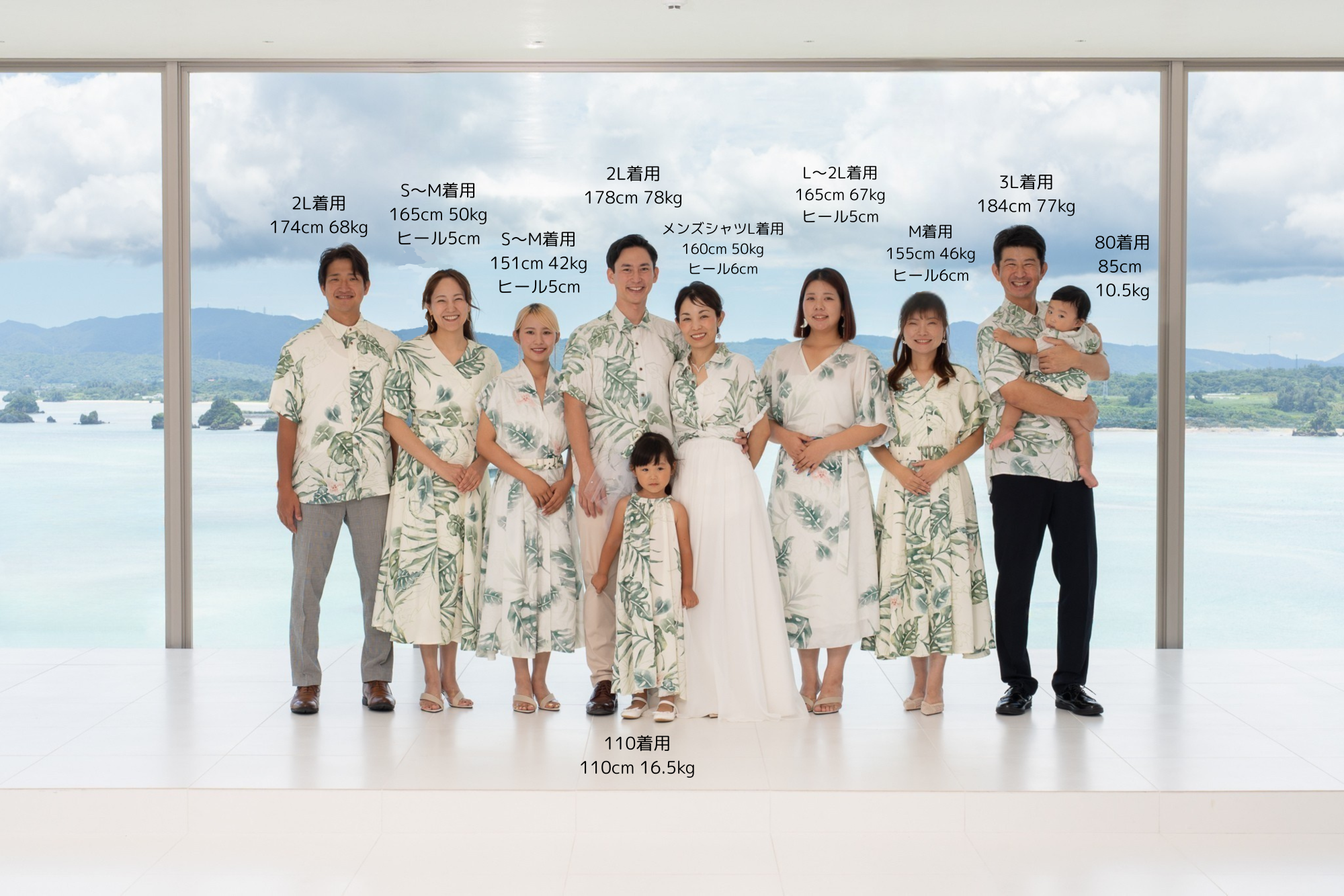 モンステラGreen サイズあり.png